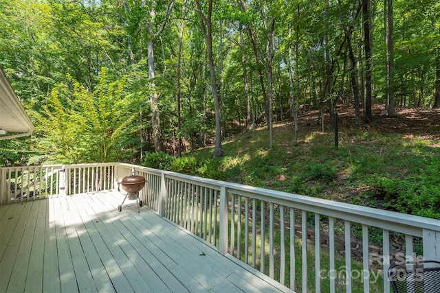 129 Melrose Ct, Lake Lure, NC 28746 - photo 23