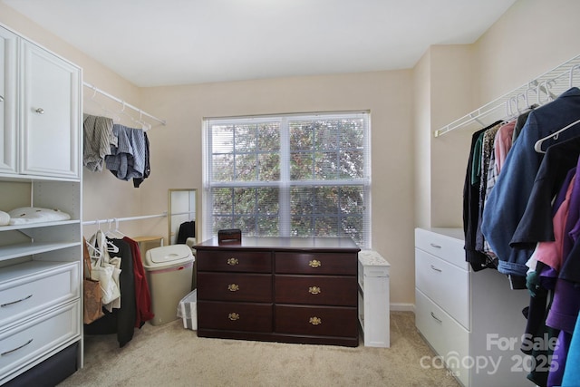 walk in closet with light carpet