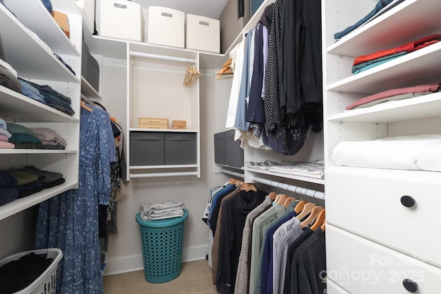 walk in closet featuring carpet flooring