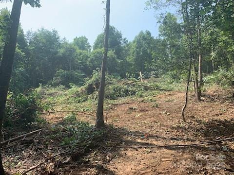 00 Old Vashti Rd, Taylorsville NC, 28681 land for sale