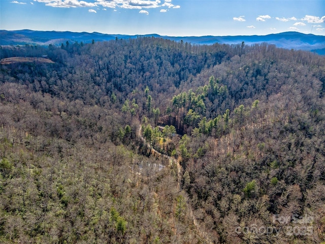 drone / aerial view featuring a wooded view and a mountain view