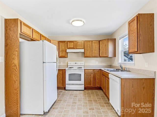 kitchen featuring brown cabinets, light countertops, a sink, white appliances, and under cabinet range hood