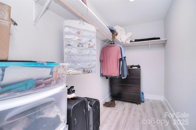 spacious closet featuring light wood-type flooring