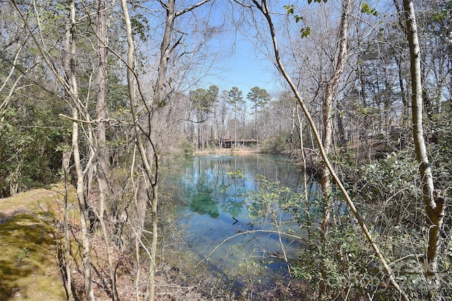 view of water feature with a forest view