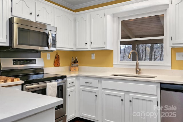 164 Waldsi Ct, Brevard, NC 28712 - kitchen featuring appliances with stainless steel finishes, white cabinetry, light countertops, and crown molding
