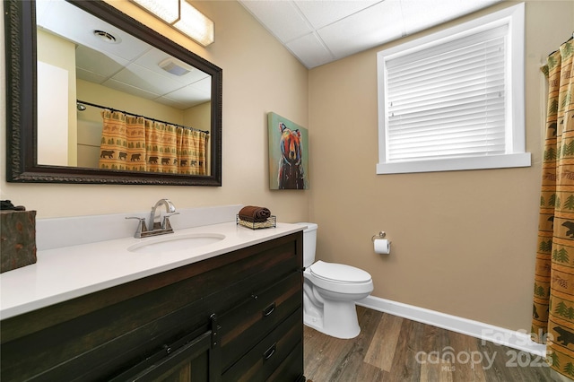 164 Waldsi Ct, Brevard, NC 28712 - bathroom with vanity, wood finished floors, and a shower with shower curtain