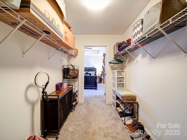 walk in closet featuring light carpet