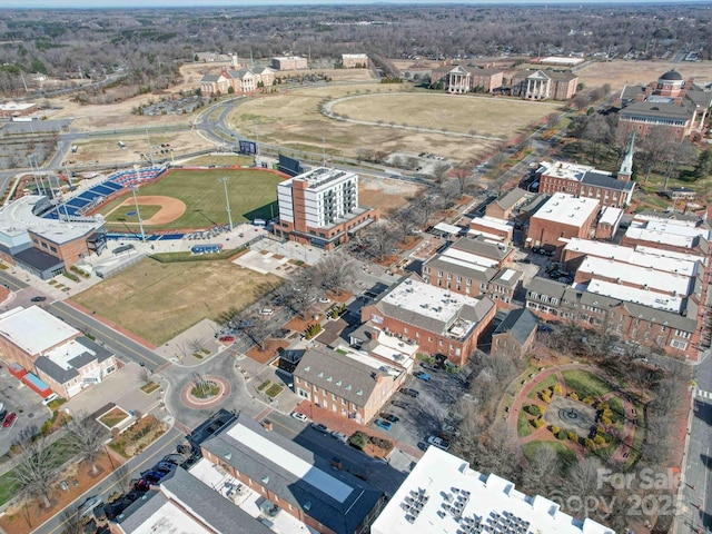 bird's eye view