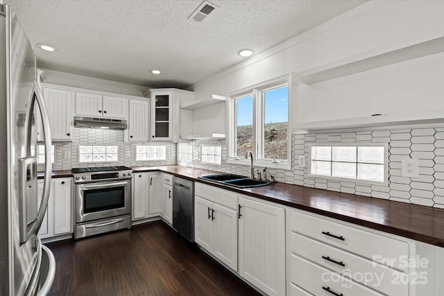 kitchen with under cabinet range hood, butcher block countertops, a sink, visible vents, and appliances with stainless steel finishes