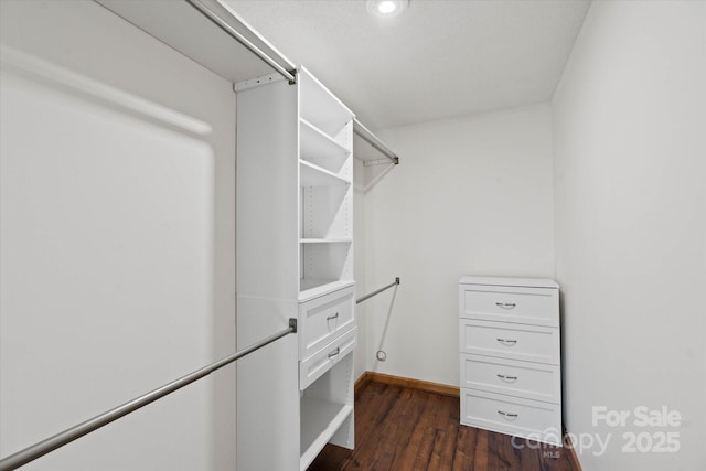 spacious closet featuring dark wood finished floors