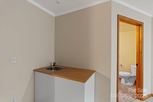 half bath with toilet, crown molding, and a sink