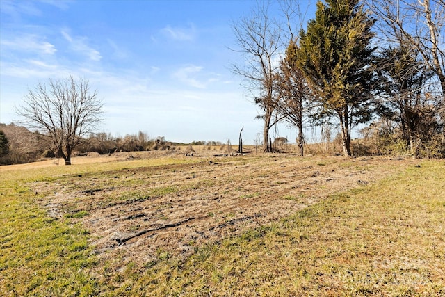 view of local wilderness