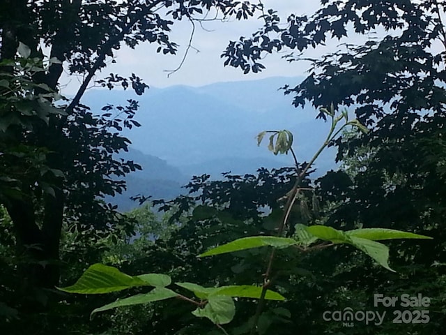 LOT16 Ball Hooter Rd Unit 16/6, Burnsville, NC 28714