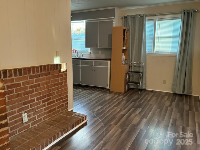 kitchen featuring dark wood-style floors, ornamental molding, a sink, and gray cabinetry