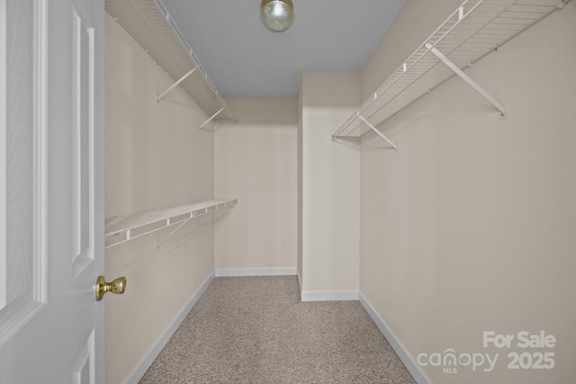 3039 Paraham Rd S, York, SC 29745 - walk in closet featuring carpet