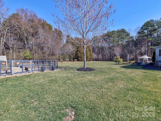 view of yard with a vegetable garden