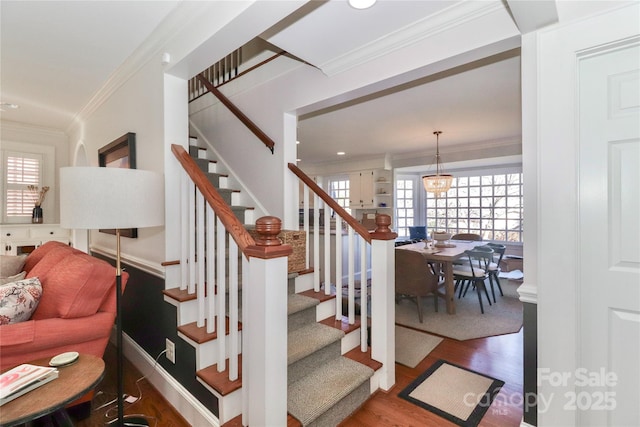 staircase featuring crown molding, wood finished floors, and a healthy amount of sunlight