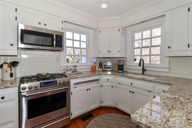 kitchen featuring appliances with stainless steel finishes, a wealth of natural light, a sink, and ornamental molding