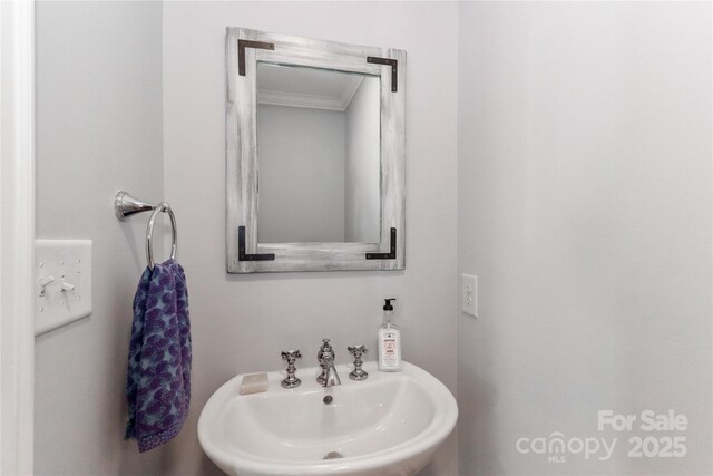 bathroom featuring crown molding and a sink