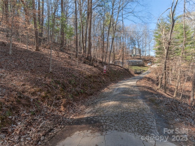 55 Lawterdale Cir, Asheville NC, 28804 land for sale