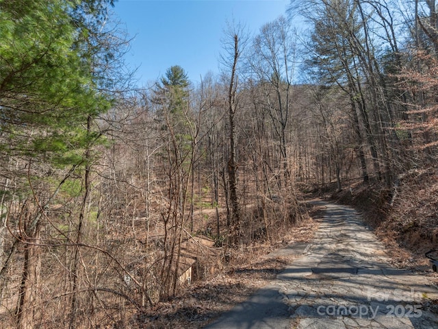 Listing photo 2 for 55 Lawterdale Cir, Asheville NC 28804