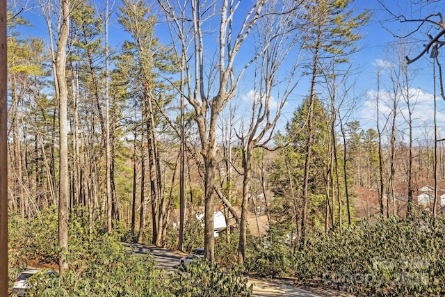 view of local wilderness with a view of trees