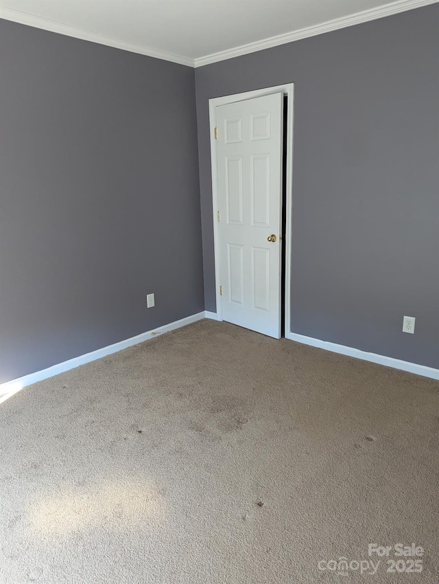 unfurnished room featuring carpet, crown molding, and baseboards