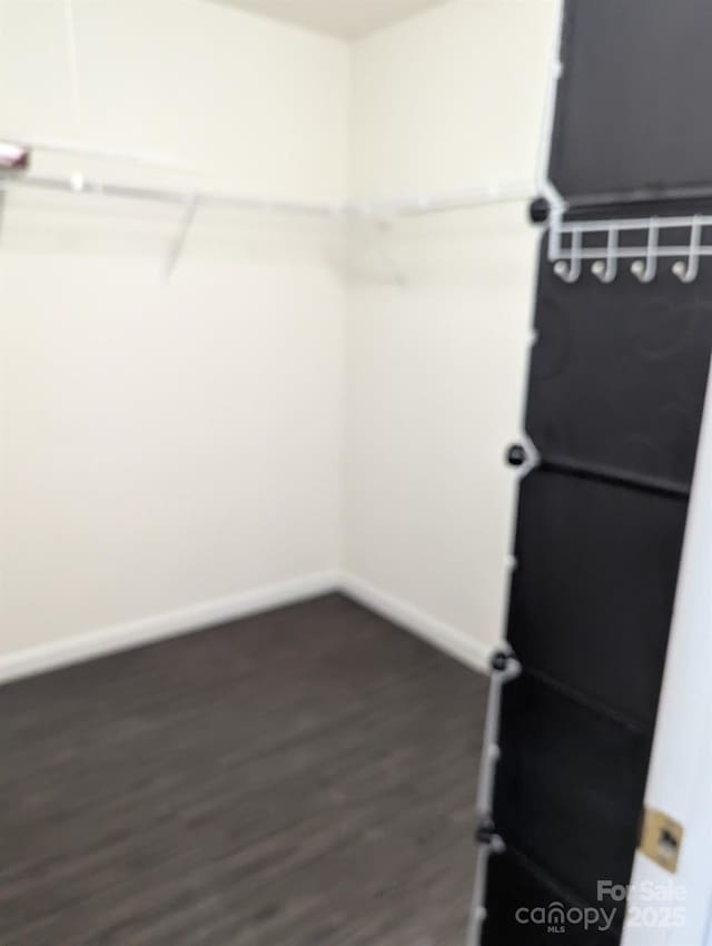 spacious closet with dark wood-type flooring