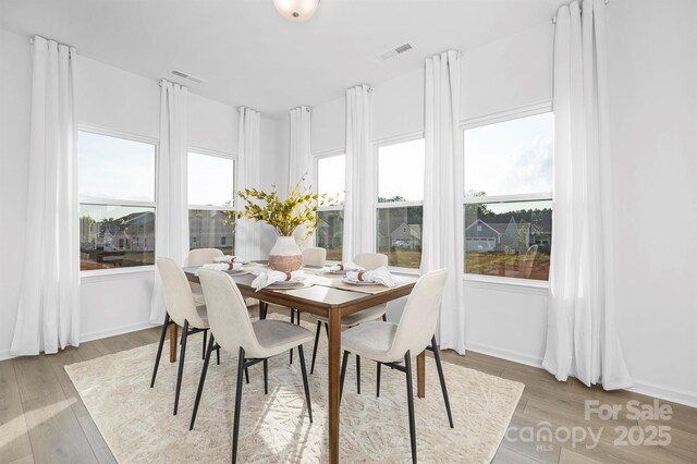 25966 Appleyard Ct Unit 1205, Lancaster, SC 29720 - dining space with light wood-style floors and plenty of natural light