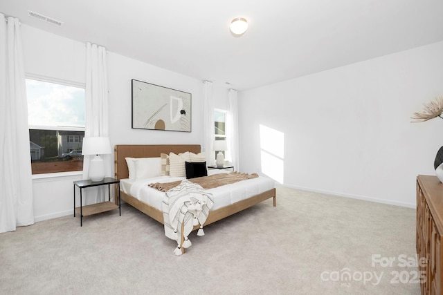 25966 Appleyard Ct Unit 1205, Lancaster, SC 29720 - bedroom featuring light carpet