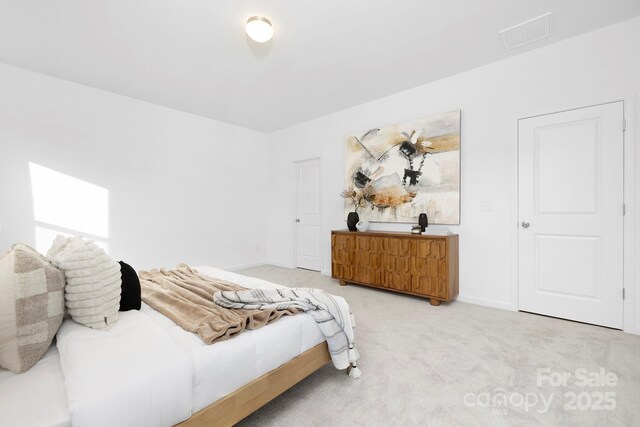 25966 Appleyard Ct Unit 1205, Lancaster, SC 29720 - bedroom with light carpet and baseboards