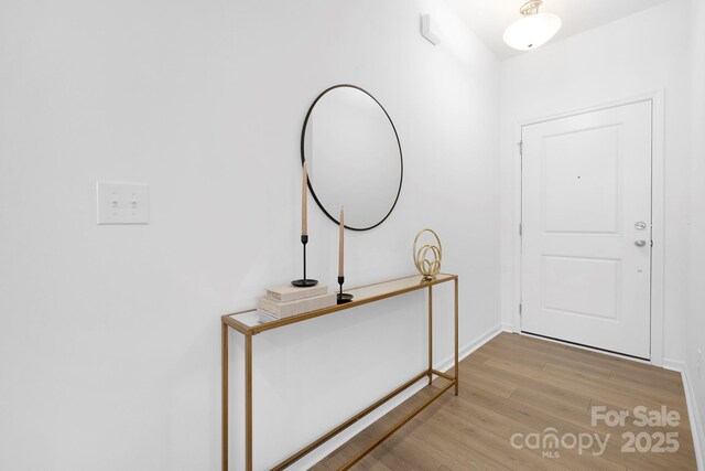 25966 Appleyard Ct Unit 1205, Lancaster, SC 29720 - foyer entrance with wood finished floors and baseboards