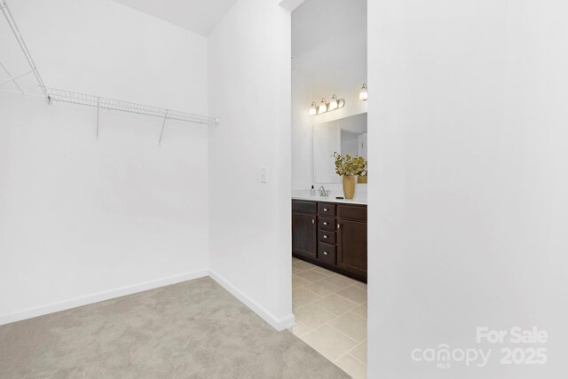 25966 Appleyard Ct Unit 1205, Lancaster, SC 29720 - spacious closet with a sink and light carpet