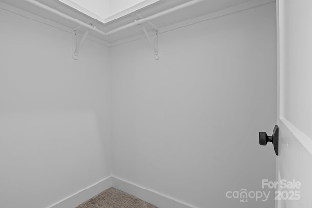 spacious closet featuring carpet