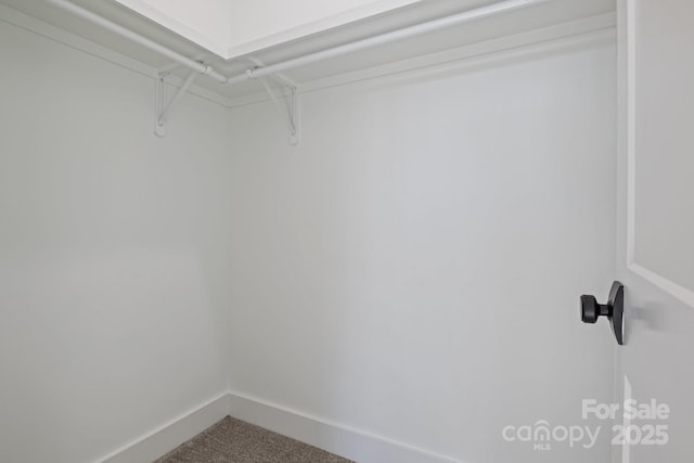 walk in closet featuring carpet flooring