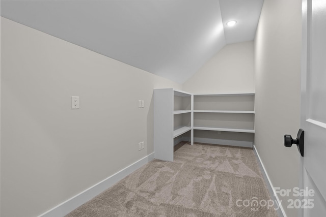 spacious closet featuring lofted ceiling and light colored carpet