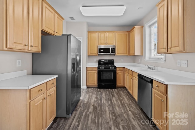 kitchen featuring appliances with stainless steel finishes, dark wood finished floors, a sink, and light brown cabinetry