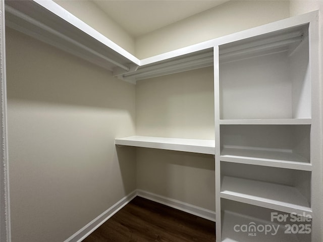 spacious closet featuring built in desk and dark wood-type flooring