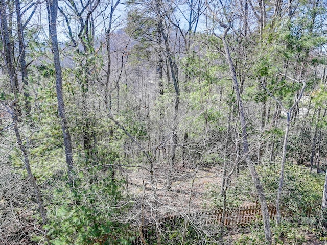 view of local wilderness with a view of trees