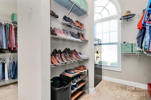 walk in closet featuring light carpet