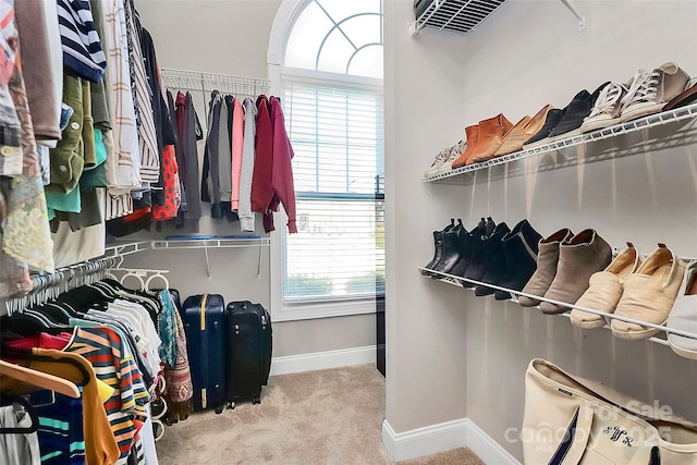 spacious closet featuring light colored carpet