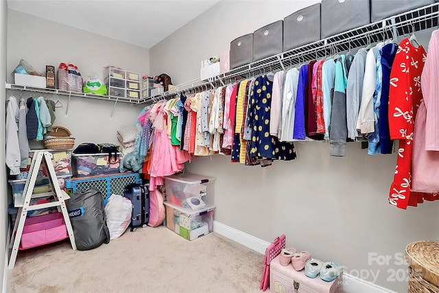 walk in closet with carpet floors