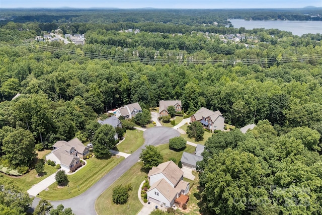 329 Squirrel Ln, Clover, SC 29710 - drone / aerial view of a forest