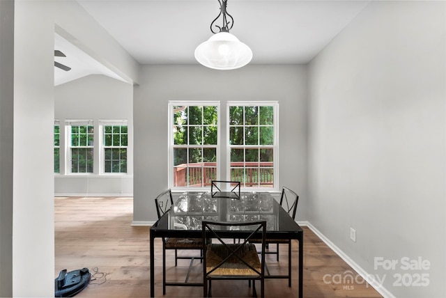 329 Squirrel Ln, Clover, SC 29710 - dining room with wood finished floors and ceiling fan