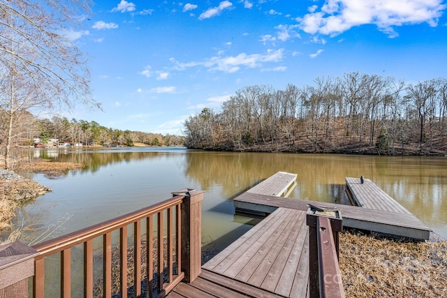 dock area featuring a water view