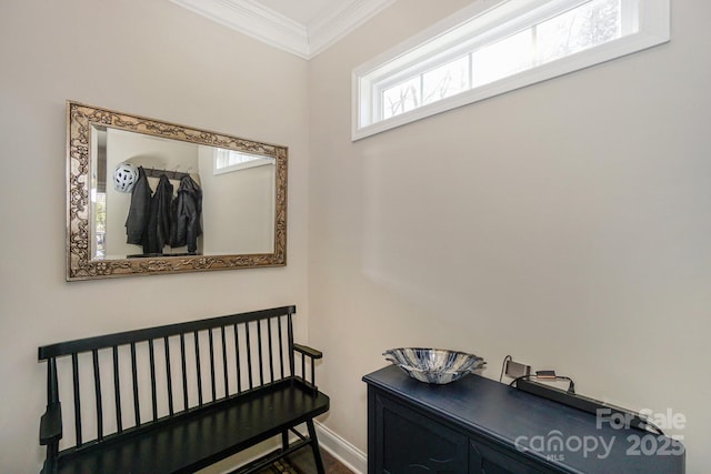 interior space featuring baseboards and crown molding