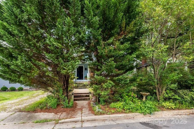 view of property hidden behind natural elements