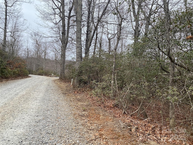 LOT10 Mountain Cove Rd, Hendersonville NC, 28711 land for sale