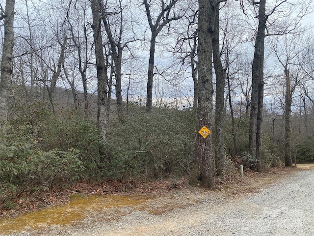 Listing photo 2 for LOT10 Mountain Cove Rd, Hendersonville NC 28711