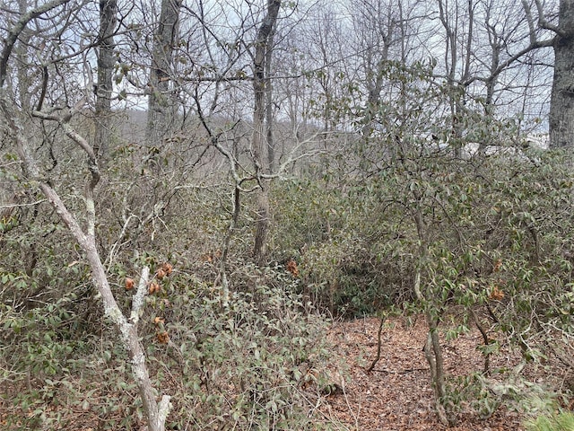 Listing photo 3 for LOT10 Mountain Cove Rd, Hendersonville NC 28711